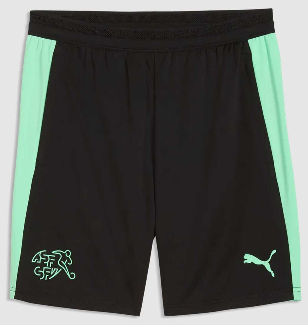 Puma SFV Schweiz Training Shorts 26