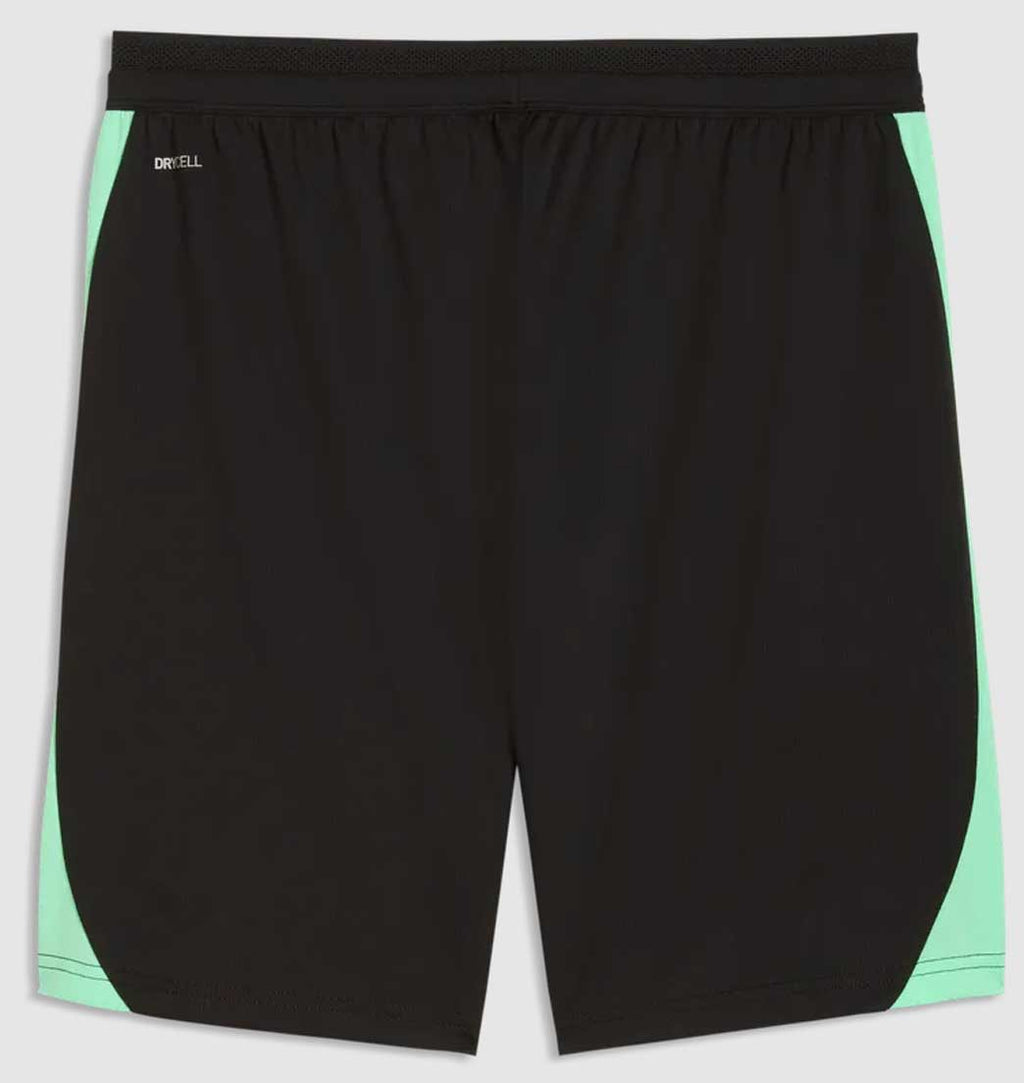 Puma SFV Schweiz Training Shorts 26