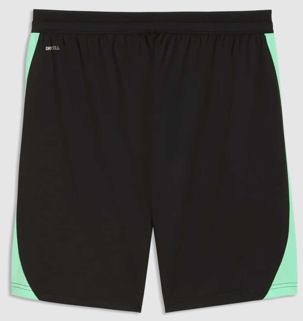 Puma SFV Schweiz Training Shorts 26