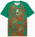 Puma FIF Elfenbeinküste Warm Up Jersey 26