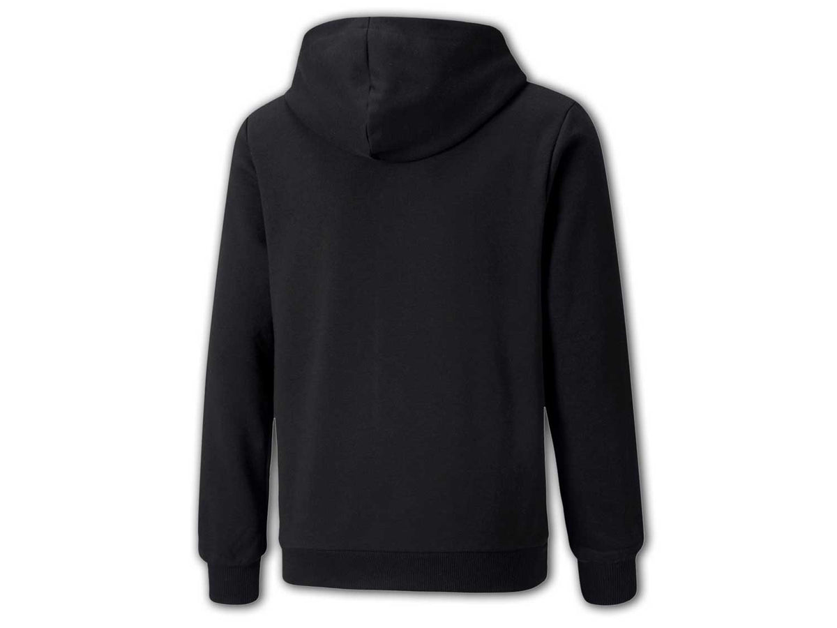 Puma Borussia M´ Gladbach ftblCore Hoody
