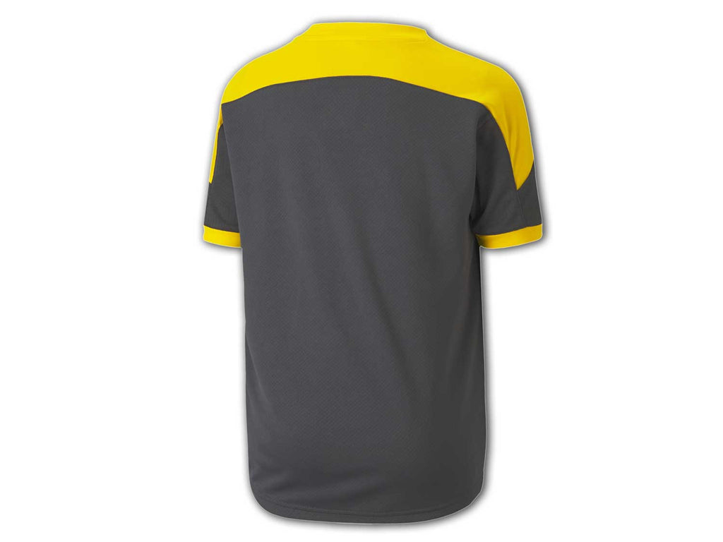Puma BVB Training Jersey Jr.